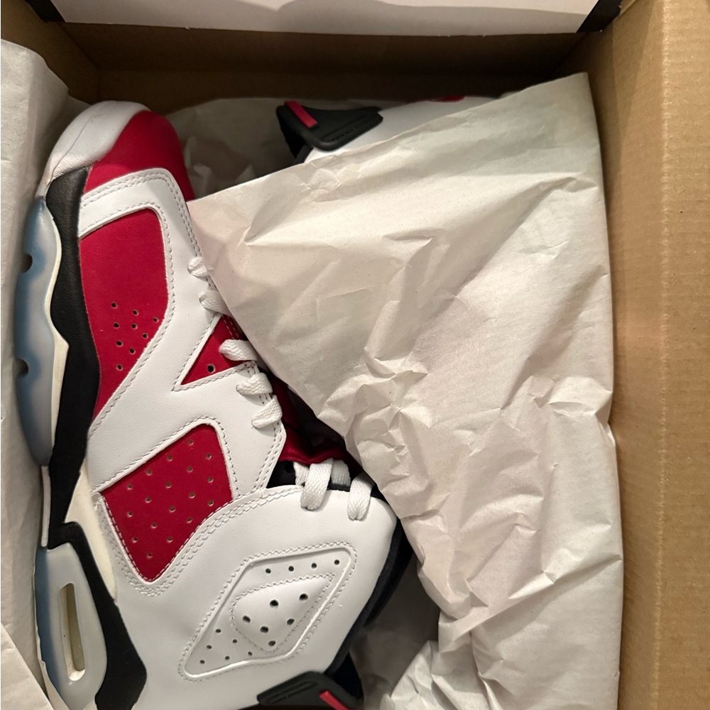 Carmine Retro 6